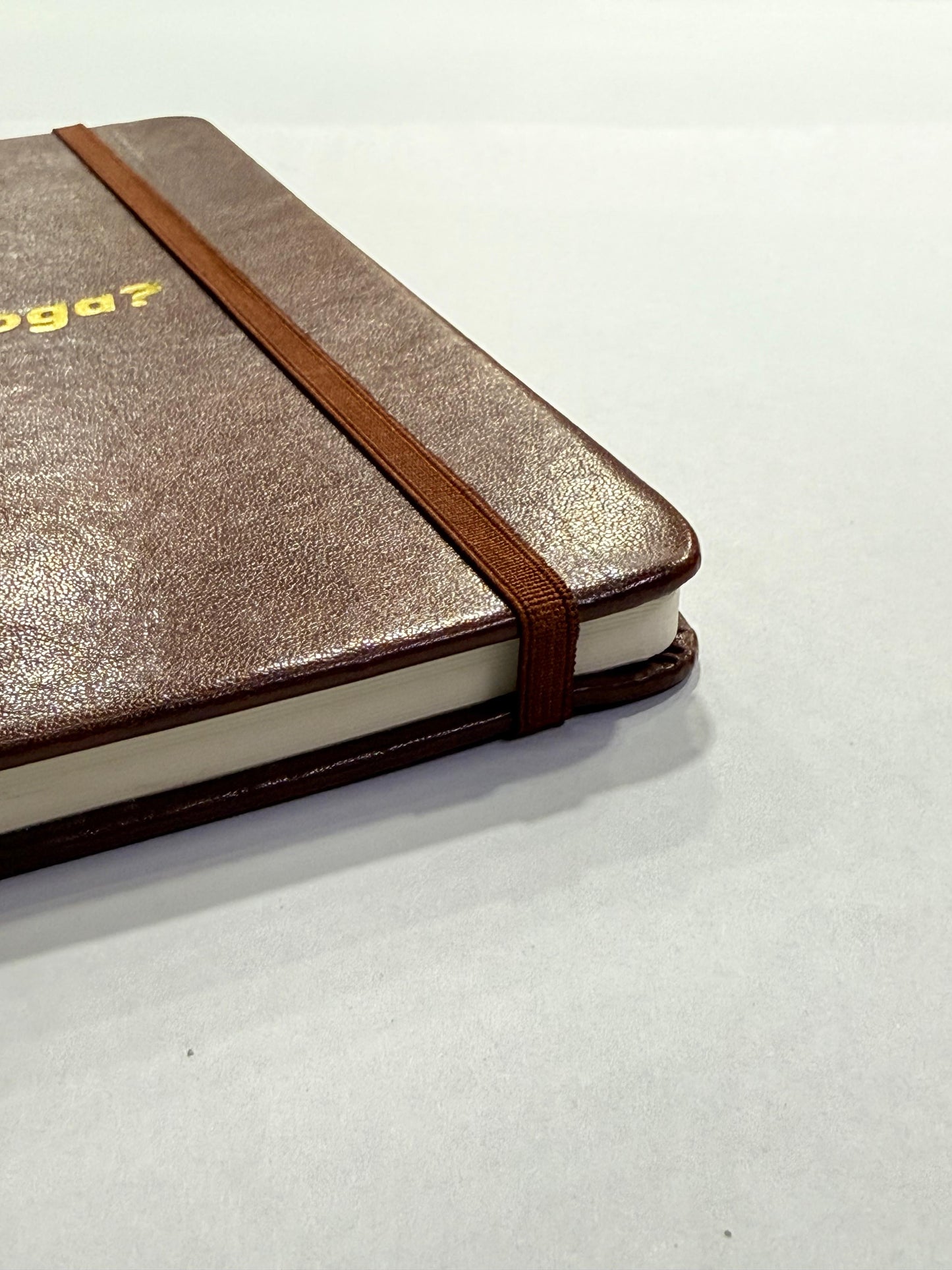 Premium Leather Journals - A5 size