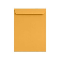 Saraswati Envelopes Plain Yellow 8x10 inches