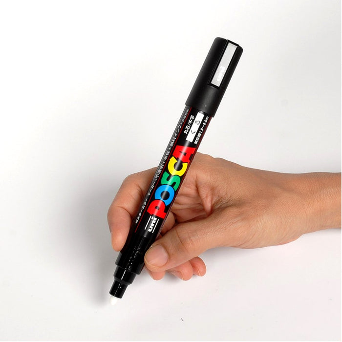 16 Posca Paint Markers, 3M Fine Posca Markers with Reversible Tips, Posca  Marker Set of Acrylic
